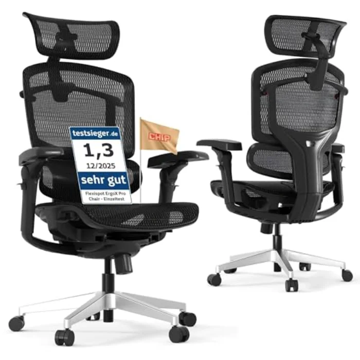 Flexispot BS11 Pro Ergonomic Office Chair, Flexispot